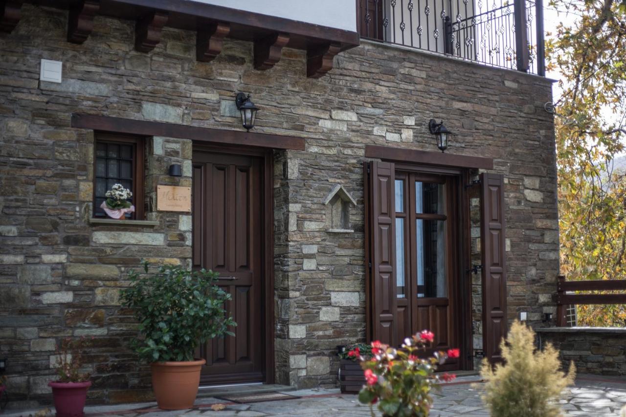扎戈拉Μελίτη Pelion Luxury Living公寓 外观 照片